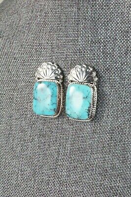 Turquoise & Sterling Silver Earrings - Sheena Jack