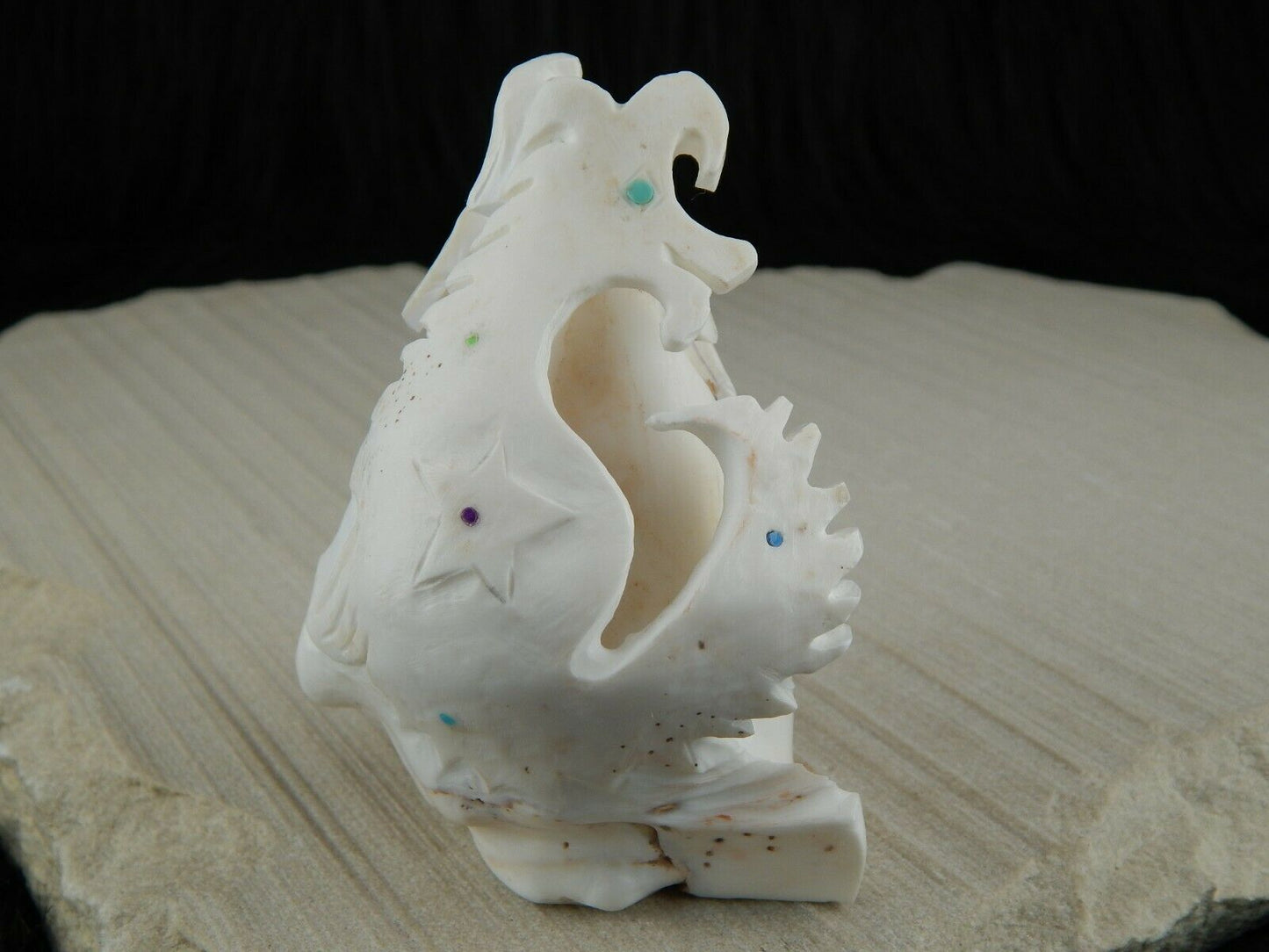 Sea Horse Zuni Fetish Carving - Vaughn Kaskalla - High Lonesome Trading