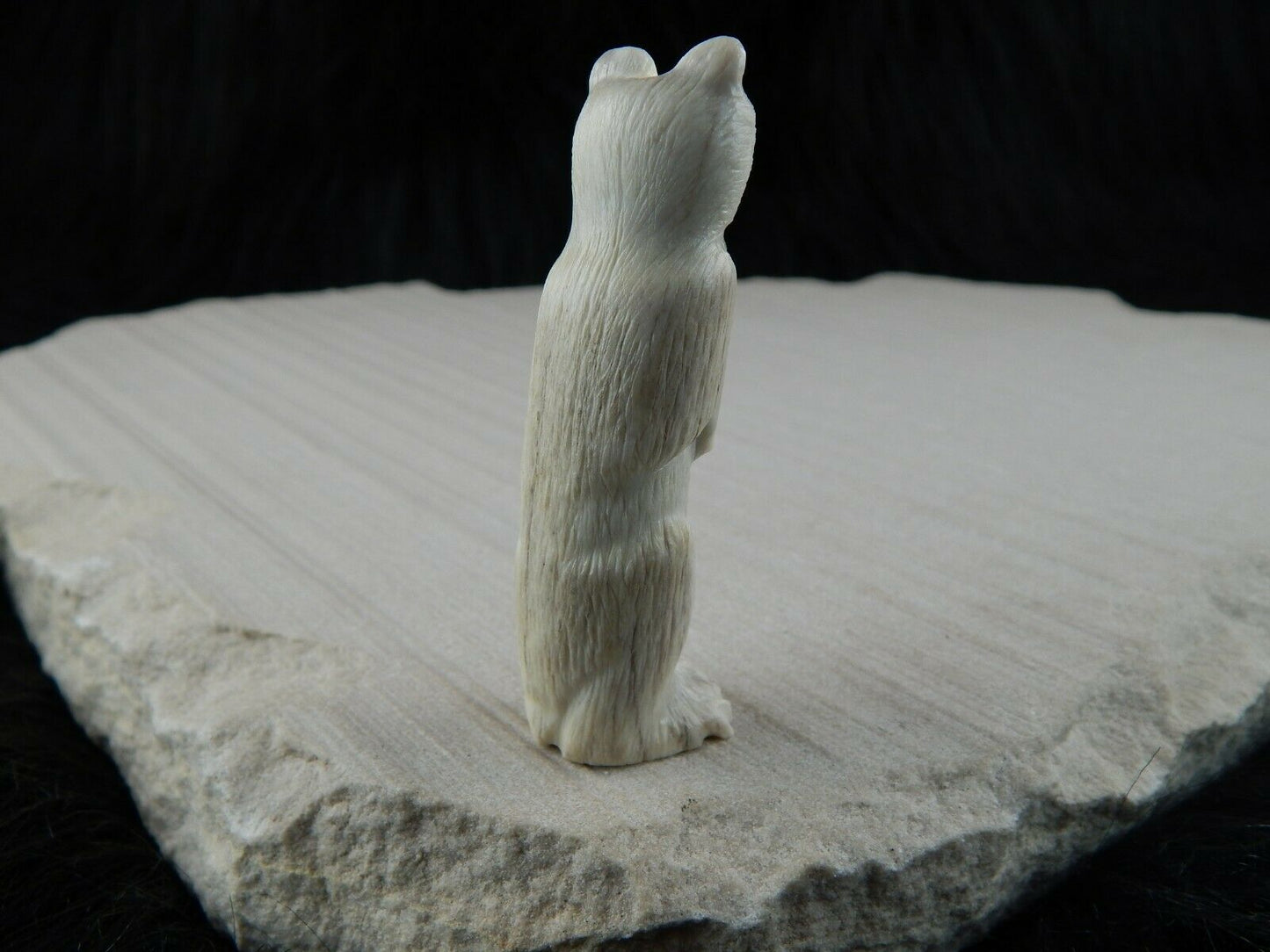 Bear Zuni Fetish Carving - Maxx Laate - High Lonesome Trading