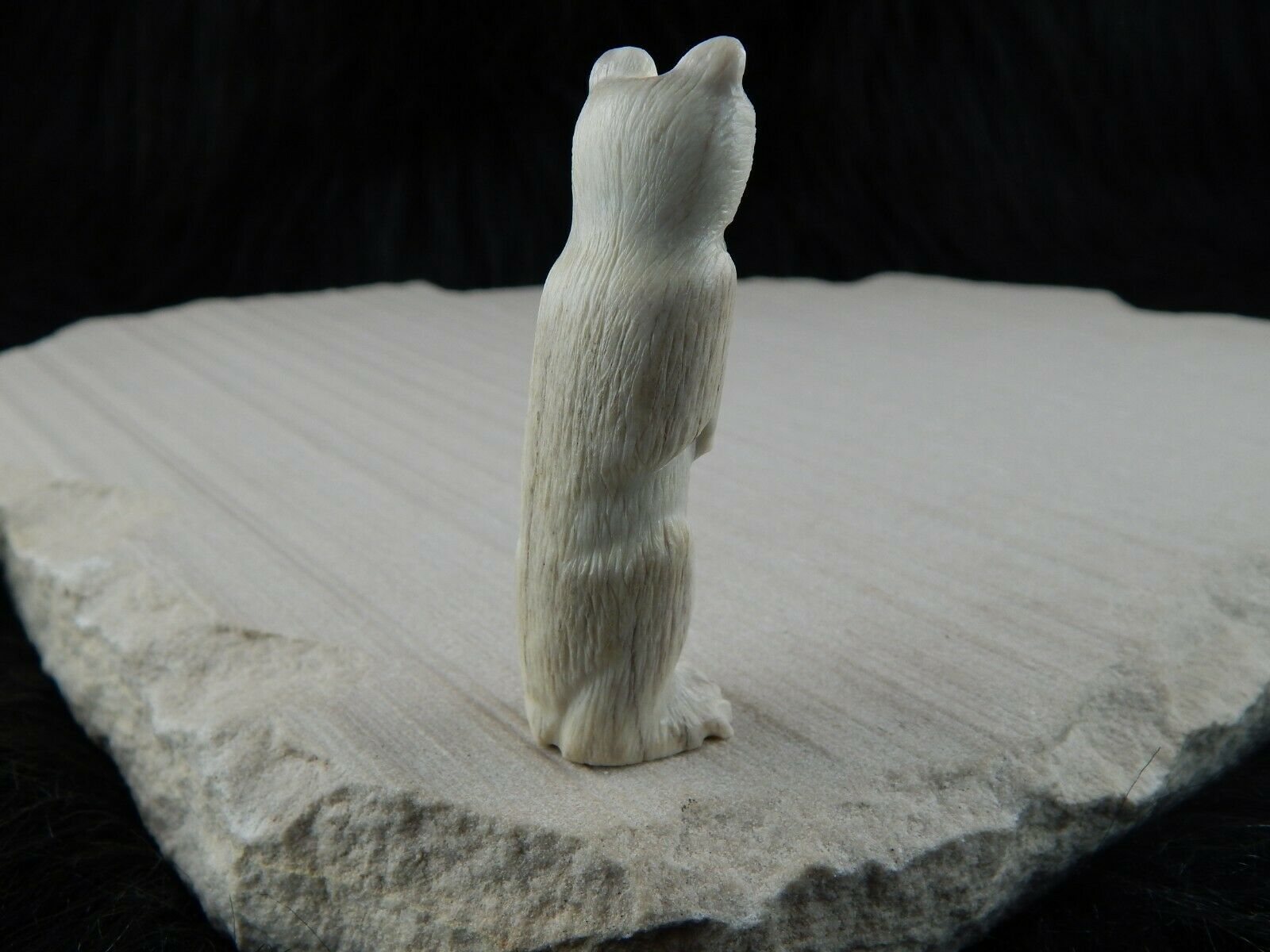 Bear Zuni Fetish Carving - Maxx Laate - High Lonesome Trading
