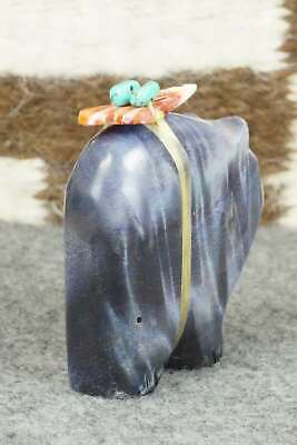 Bear Zuni Fetish Carving - Daphne Quam