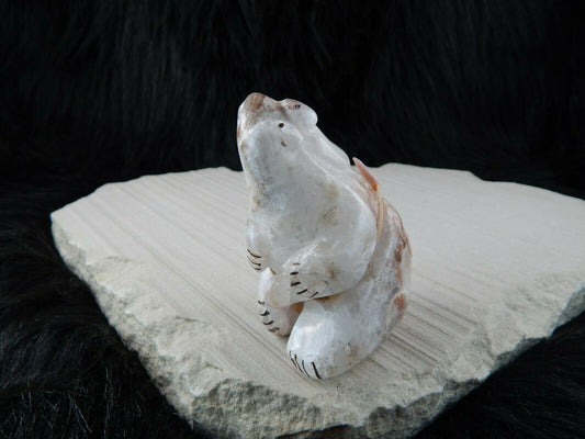 Bear Zuni Fetish Carving - Kallestewa - High Lonesome Trading