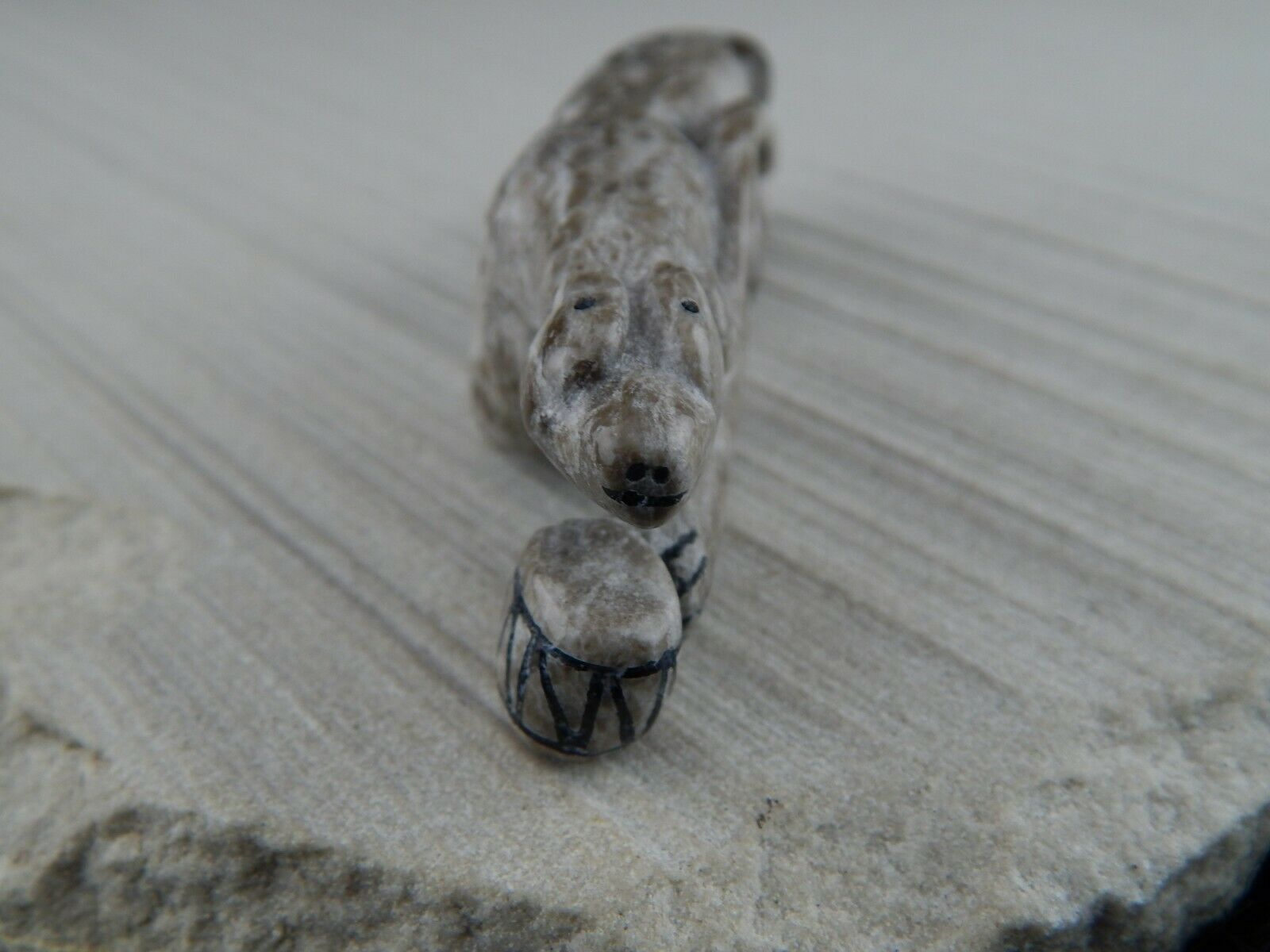 Mountain Lion Zuni Fetish Carving - Rickson Kallestewa - High Lonesome Trading