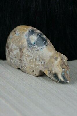 Bear Zuni Fetish Carving - Gerald Peina - High Lonesome Trading
