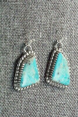 Turquoise & Sterling Silver Earrings - Alvin Joe