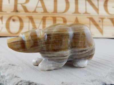 Bear Zuni Fetish Carving - Nelson Yatsattie - High Lonesome Trading