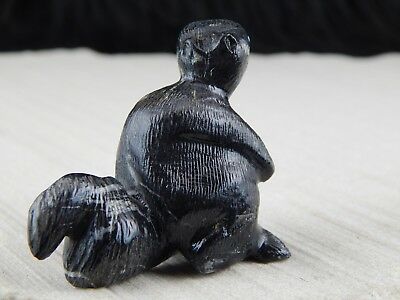 Squirrel Zuni Fetish Carving - Dane Malani - High Lonesome Trading