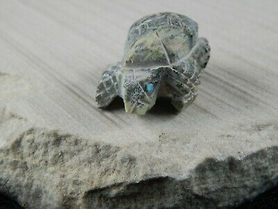 Turtle Zuni Fetish Carving - Jon Quam - High Lonesome Trading
