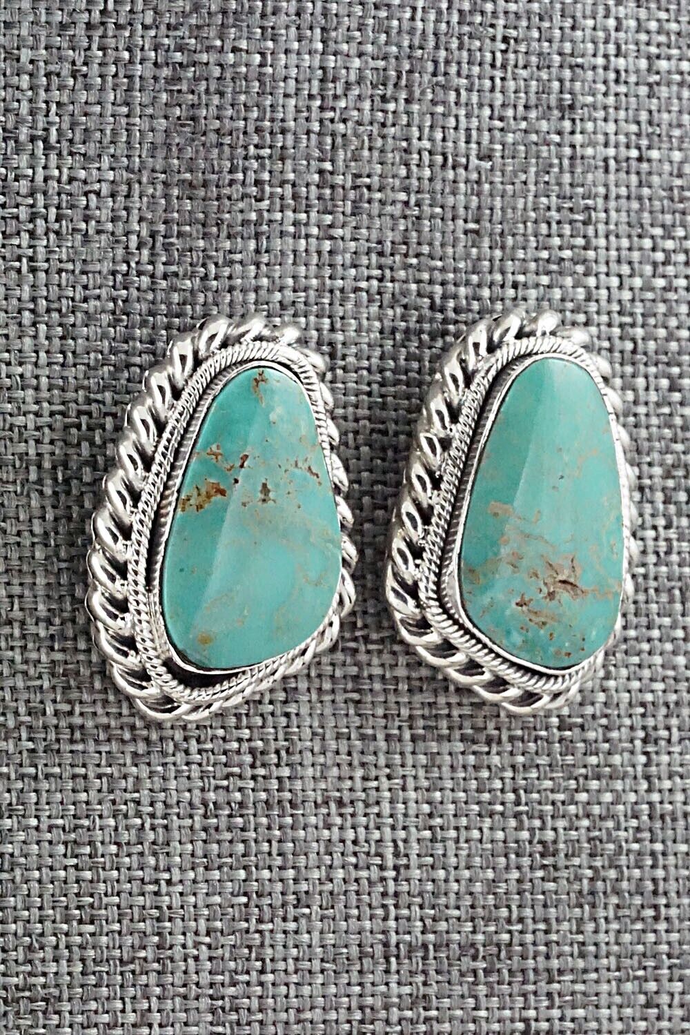 Turquoise and Sterling Silver Earrings - Sharon McCarthy