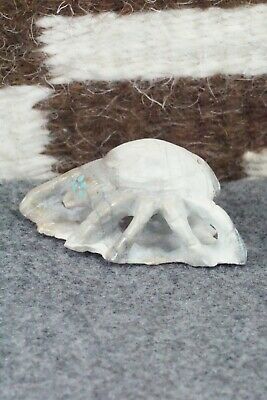 Spider Zuni Fetish Carving - Derrick Kaamasee