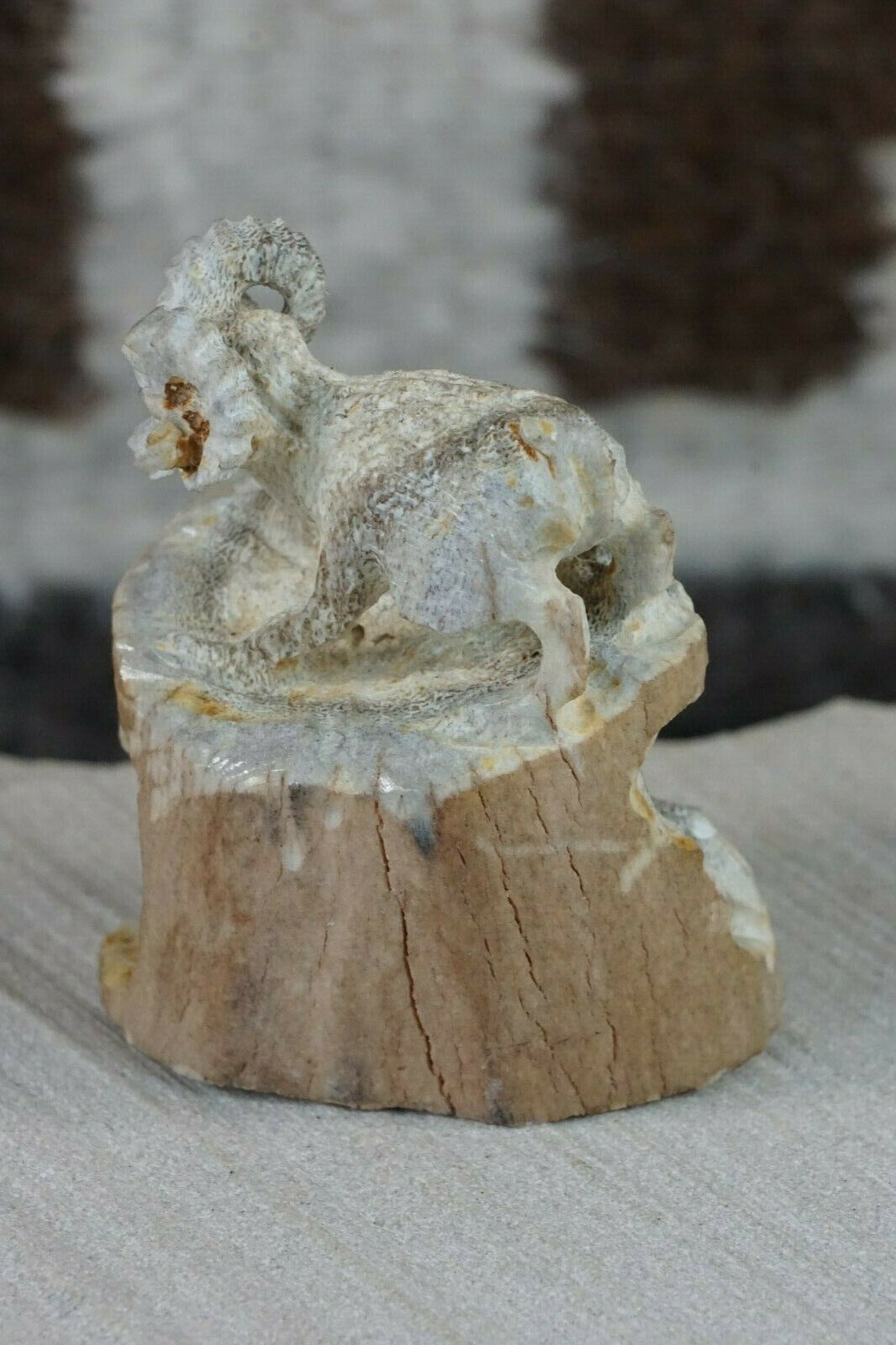 Rams Zuni Fetish Carving - Lewis Malie Jr - High Lonesome Trading