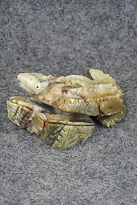 Horned Toad Zuni Fetish Carving - Ben Kamaasee
