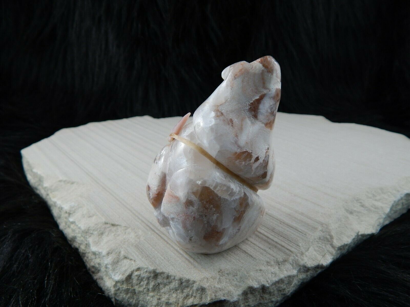 Bear Zuni Fetish Carving - Kallestewa - High Lonesome Trading