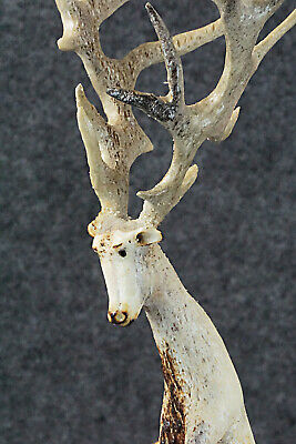 Deer Zuni Fetish Carving - Ruben Najera