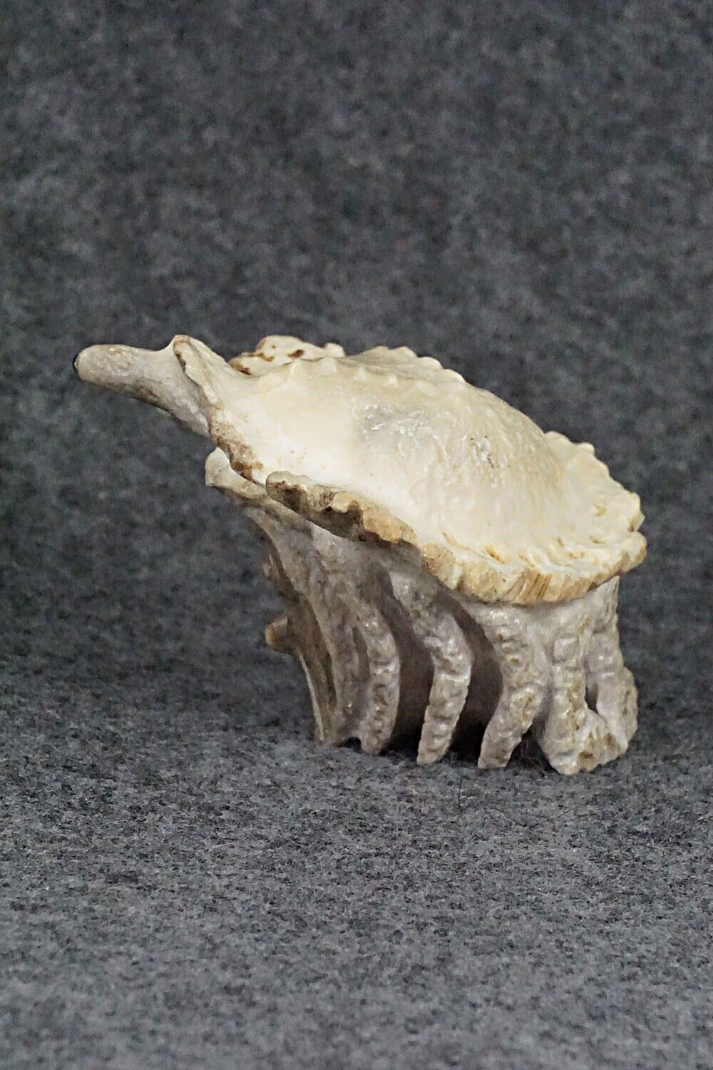 Crab Zuni Fetish Carving - Maxx Laate
