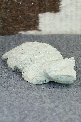 Horned Toad Zuni Fetish Carving - Darrell Wastika - High Lonesome Trading