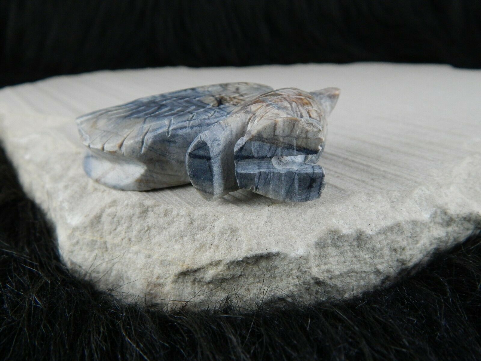 Eagle - Zuni Fetish - Cody Nastacio - Zuni Eagle Carving - Native American - High Lonesome Trading