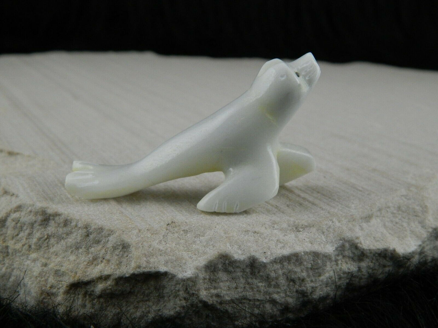 Seal Zuni Fetish Carving - Russell Shack - High Lonesome Trading