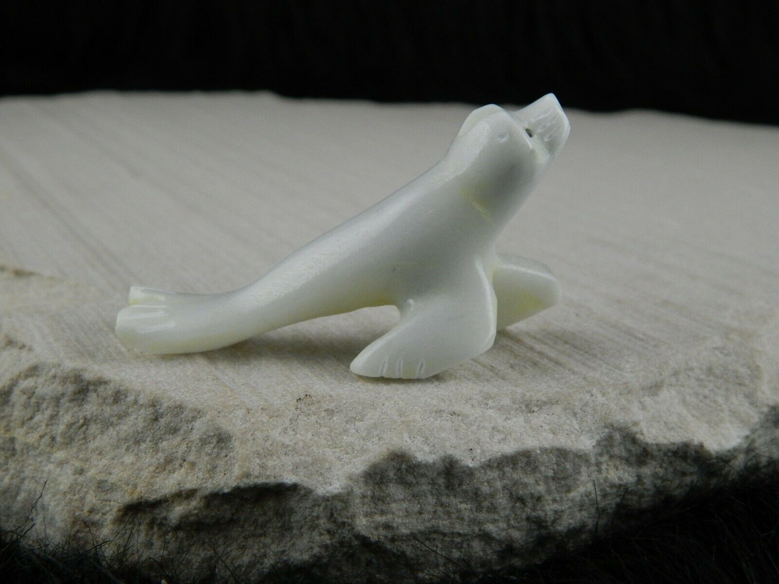 Seal Zuni Fetish Carving - Russell Shack - High Lonesome Trading