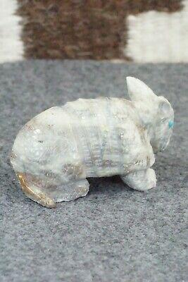 Armadillo Zuni Fetish Carving - Derrick Kaamasee - High Lonesome Trading