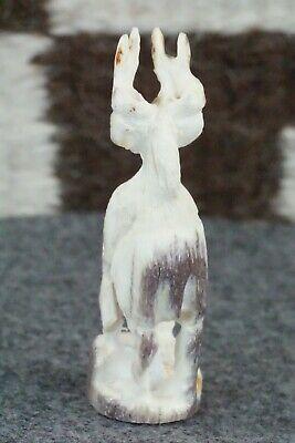 Deer Zuni Fetish Carving - Jerrold Lahaleon - High Lonesome Trading