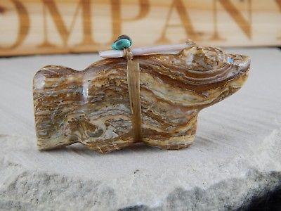 Bear Zuni Fetish Carving - Daphie Quam - High Lonesome Trading