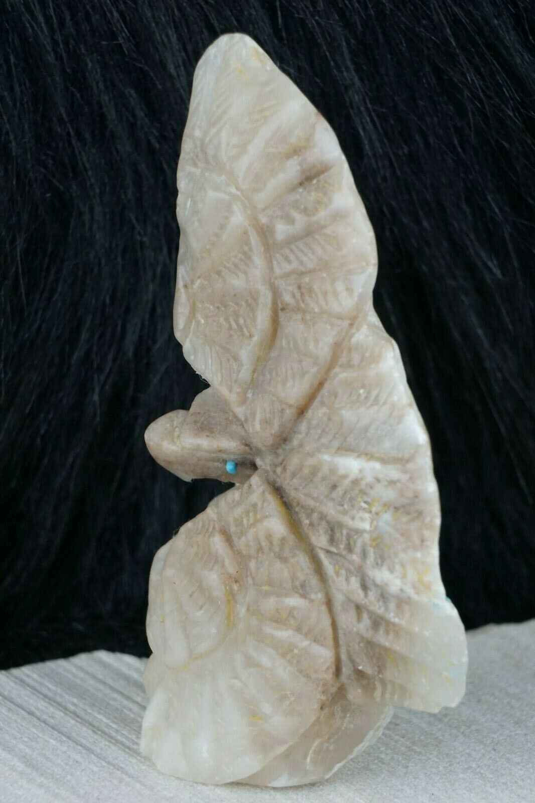 Eagle Zuni Fetish Carving - Jerrold Lahaleon - High Lonesome Trading