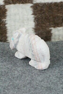 Armadillo Zuni Fetish Carving - Derrick Kaamasee