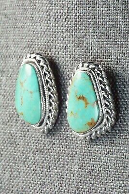 Turquoise and Sterling Silver Earrings - Sharon McCarthy