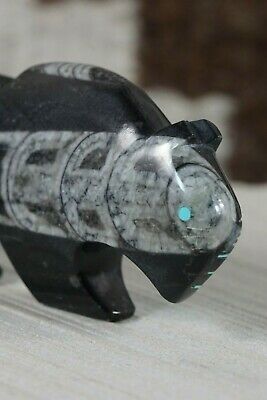 Mountain Lion Zuni Fetish Carving - Kenric Laiwakete - High Lonesome Trading