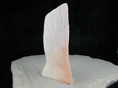 Chief Zuni Fetish Carving - Native American - High Lonesome Trading