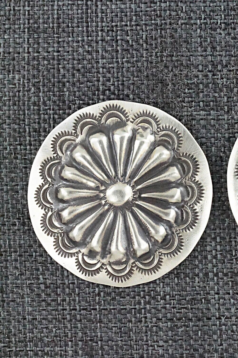 Sterling Silver Earrings - Arlene Soce