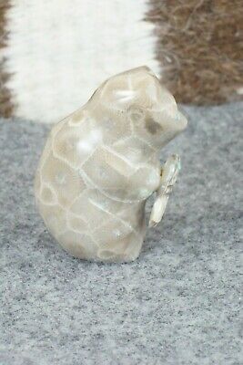 Bear Zuni Fetish Carving - Daphne Quam
