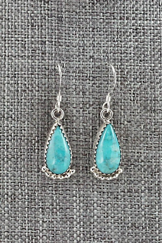 Turquoise & Sterling Silver Earrings - Emery Spencer