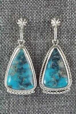 Turquoise & Sterling Silver Earrings - Sharon McCarthy
