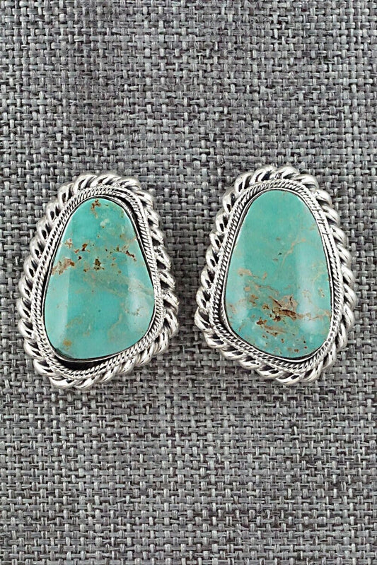 Turquoise and Sterling Silver Earrings - Sharon McCarthy
