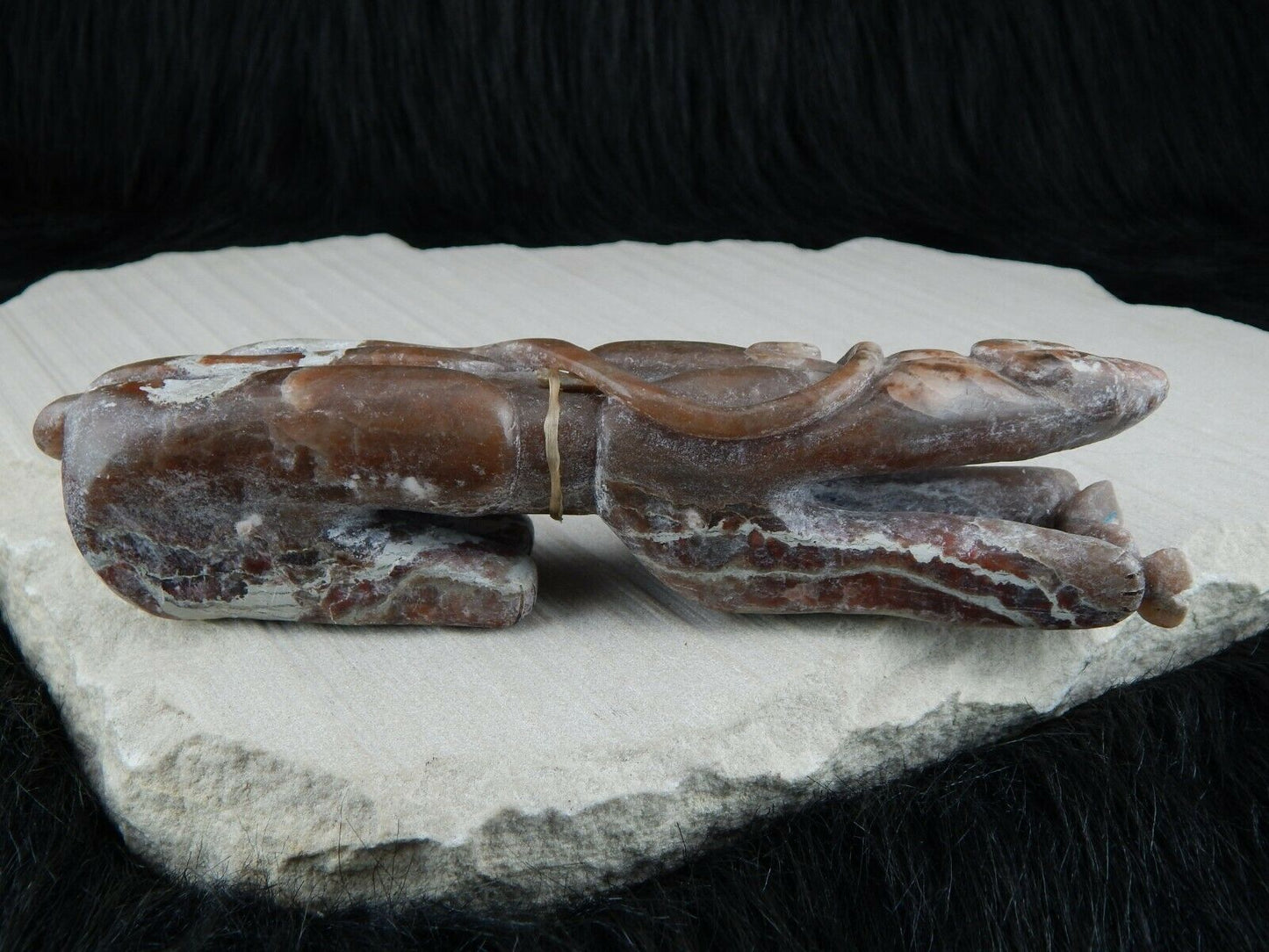Bear Zuni Fetish Carving - Rick Kallestewa - High Lonesome Trading