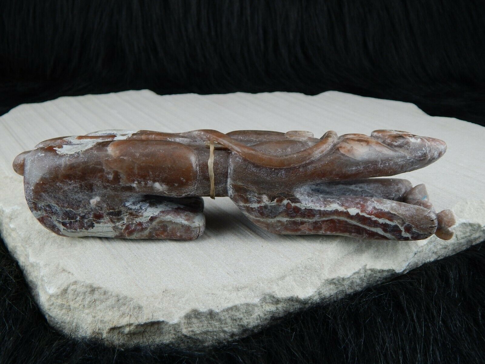 Bear Zuni Fetish Carving - Rick Kallestewa - High Lonesome Trading