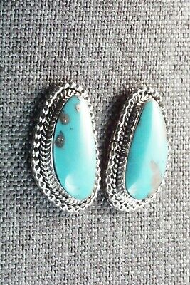Turquoise & Sterling Silver Earrings - Verley Betone