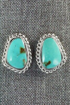 Turquoise and Sterling Silver Earrings - Sharon McCarthy