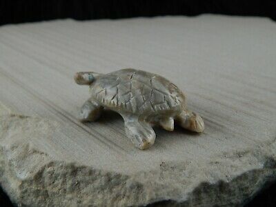 Turtle Zuni Fetish Carving - Wilfred Cheama - High Lonesome Trading