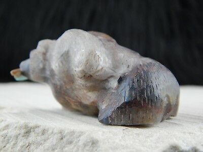 Bear Zuni Fetish Carving - Douglas Martza - High Lonesome Trading