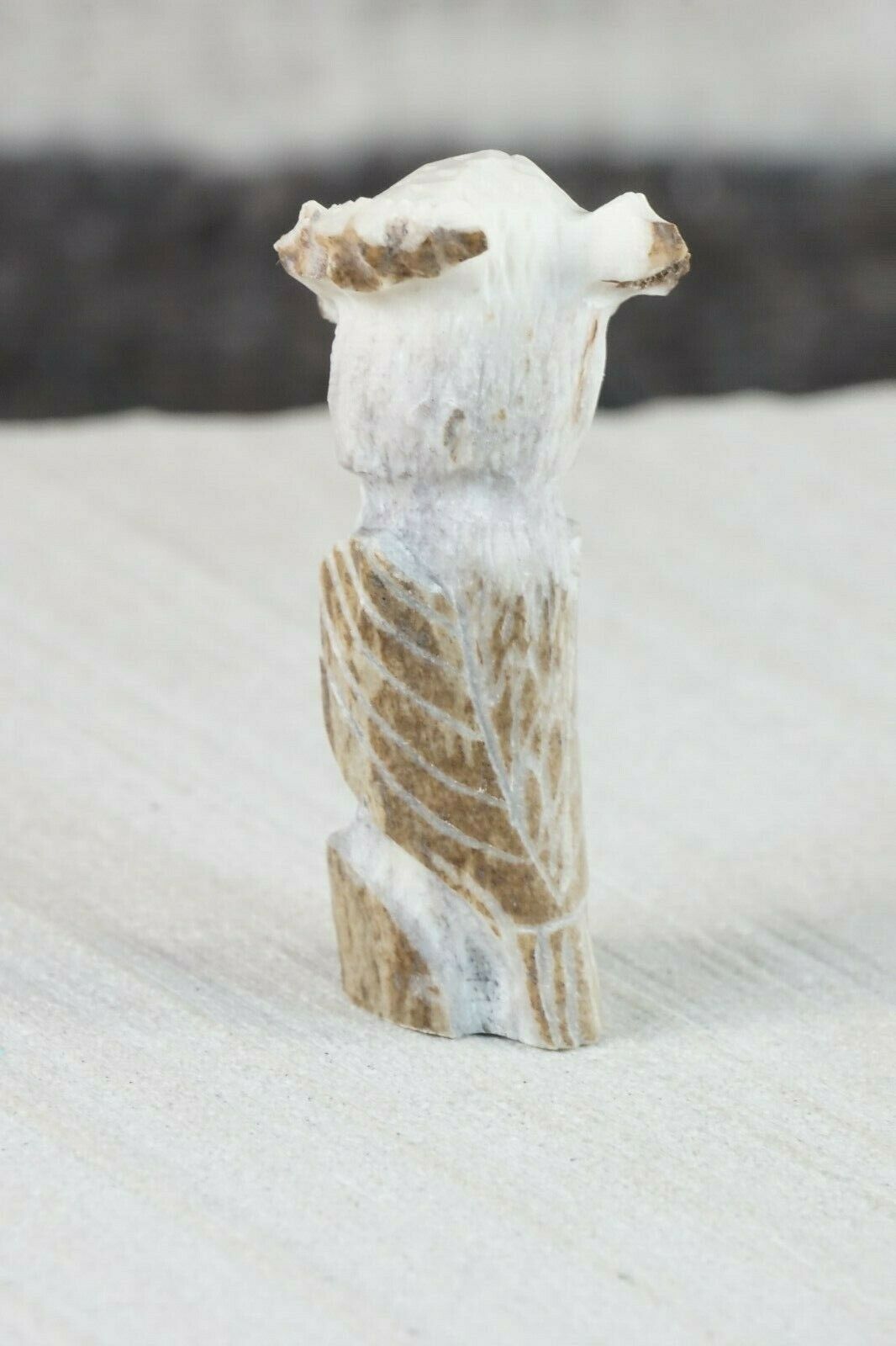 Owl Zuni Fetish Carving - Chris Peina - High Lonesome Trading