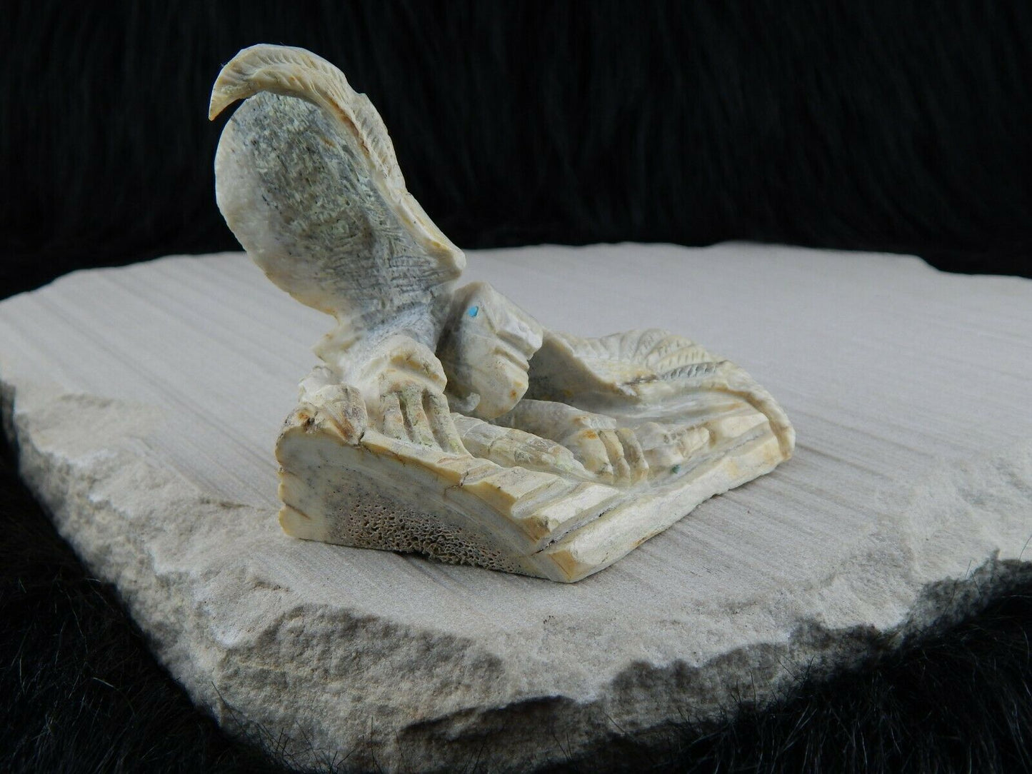 Eagle Zuni Fetish Carving - Jerrold Lahaleon - High Lonesome Trading