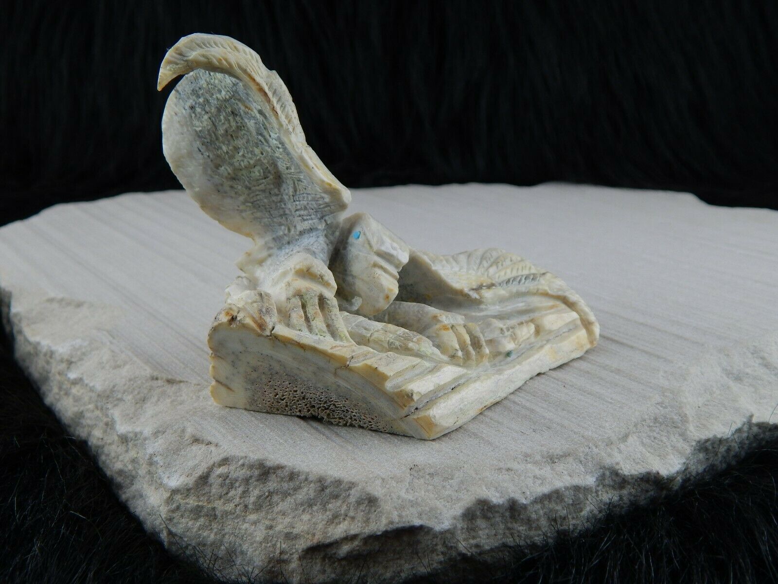 Eagle Zuni Fetish Carving - Jerrold Lahaleon - High Lonesome Trading