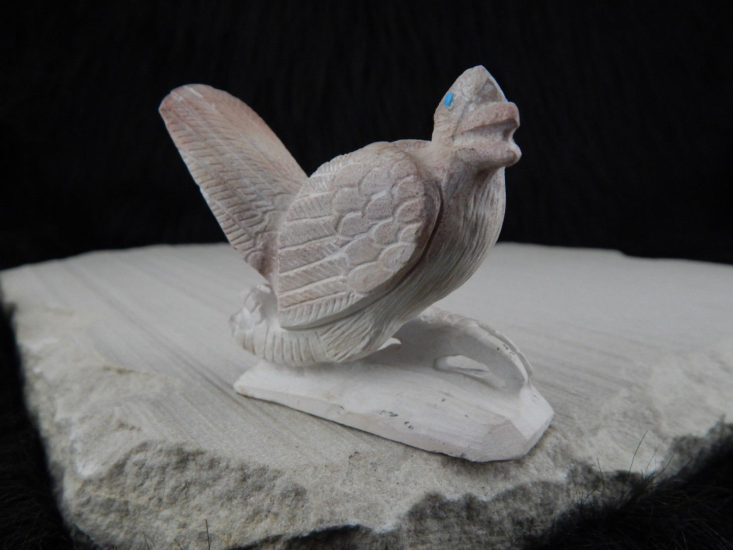 Road Runner Zuni Fetish Carving - Derrick Kaamasee - High Lonesome Trading