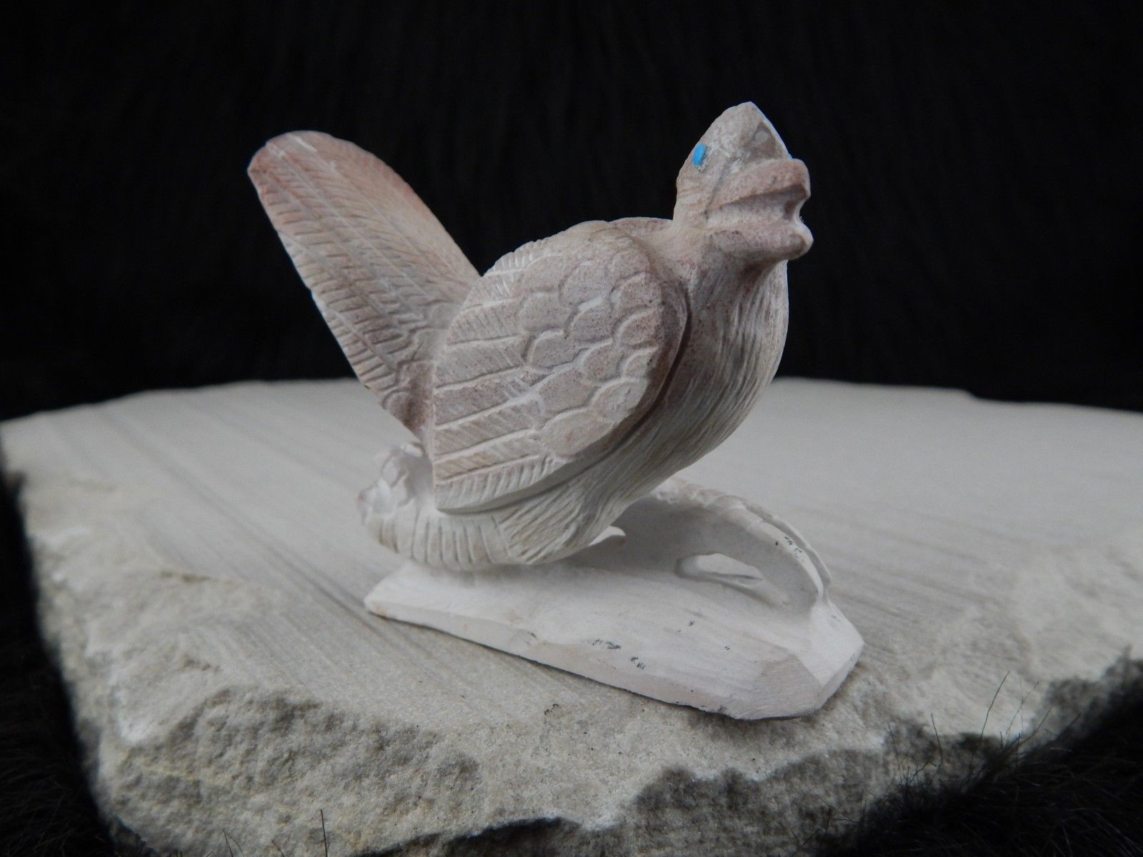 Road Runner Zuni Fetish Carving - Derrick Kaamasee - High Lonesome Trading