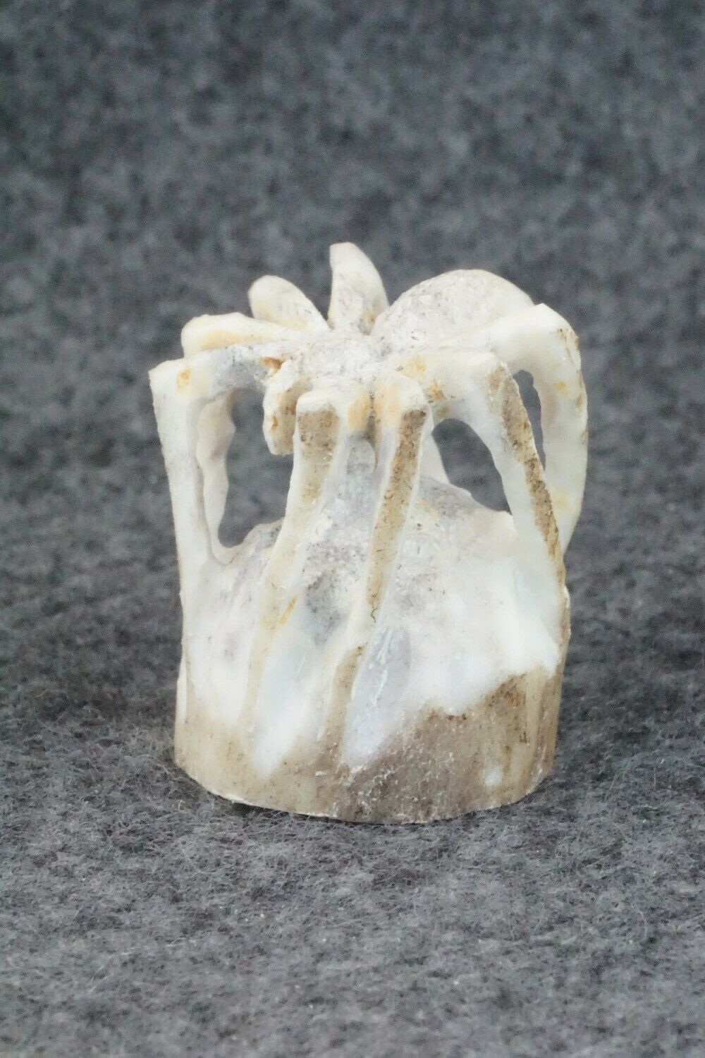 Spider Zuni Fetish Carving - Lewis Malie Jr.