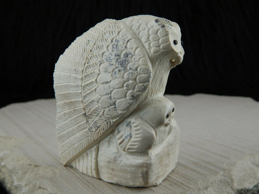 Owl Zuni Fetish Carving - Derrick Kaamasee - High Lonesome Trading