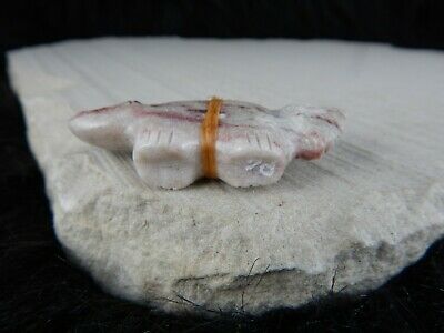 Wolf Zuni Fetish Carving - Peter Gasper - High Lonesome Trading